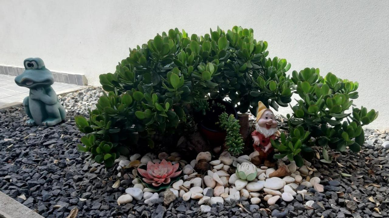 Casa D' Avo Zeza Lägenhet Jardim do Mar Exteriör bild