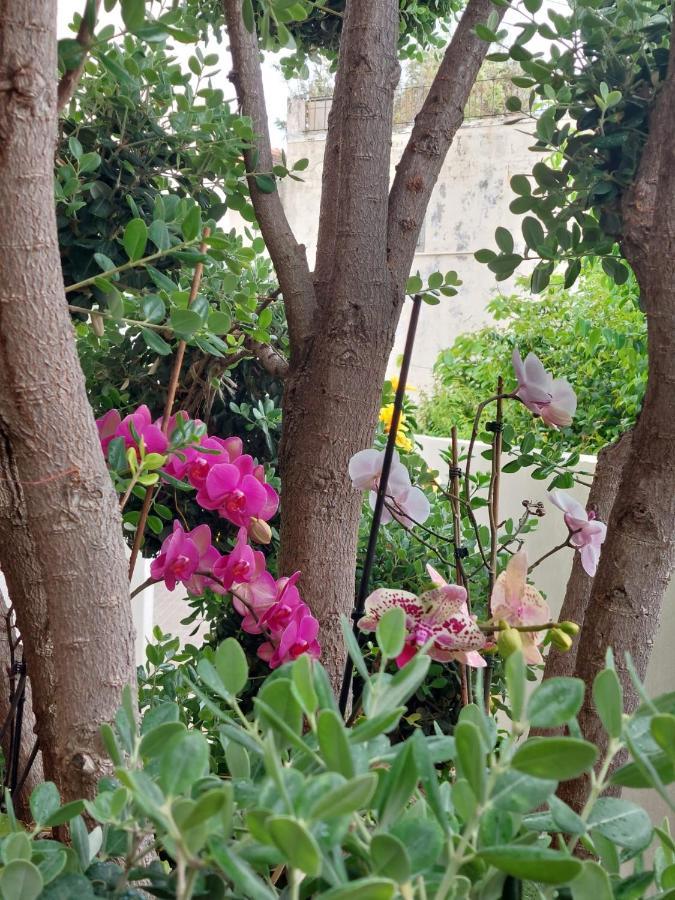 Casa D' Avo Zeza Lägenhet Jardim do Mar Exteriör bild